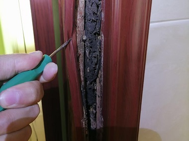 小樓白蟻驗收機構衛生間容易招白蟻嗎？